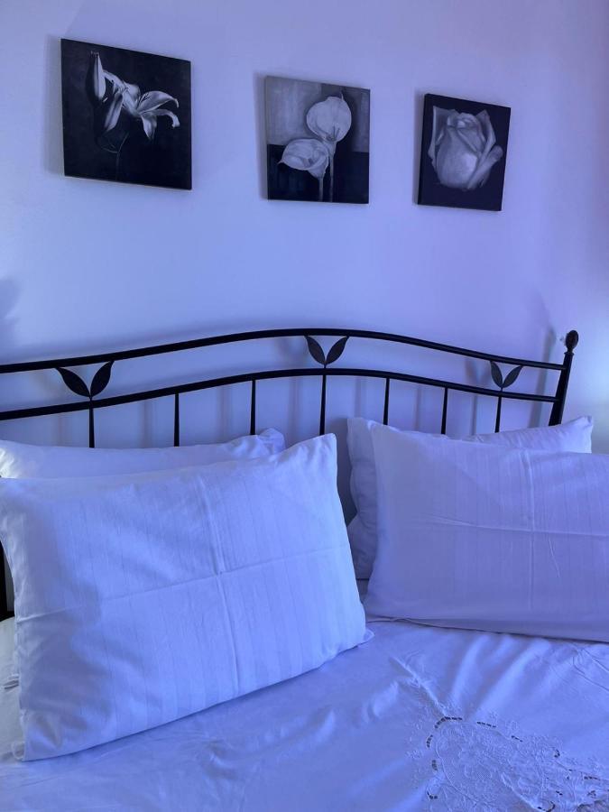 Apartman Gorana With Swimming Pool Jelsa  Exterior photo