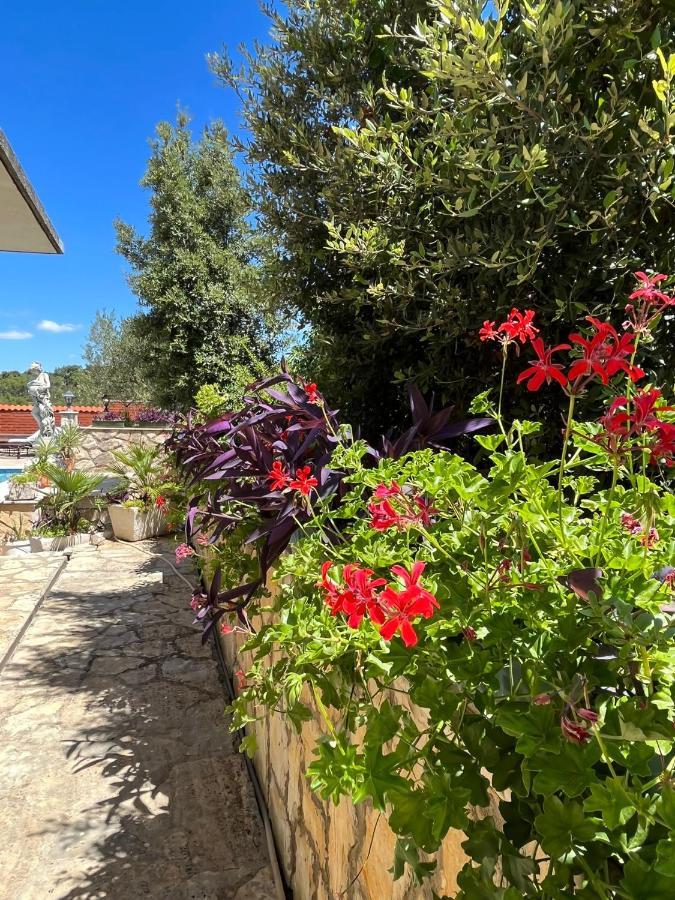 Apartman Gorana With Swimming Pool Jelsa  Exterior photo