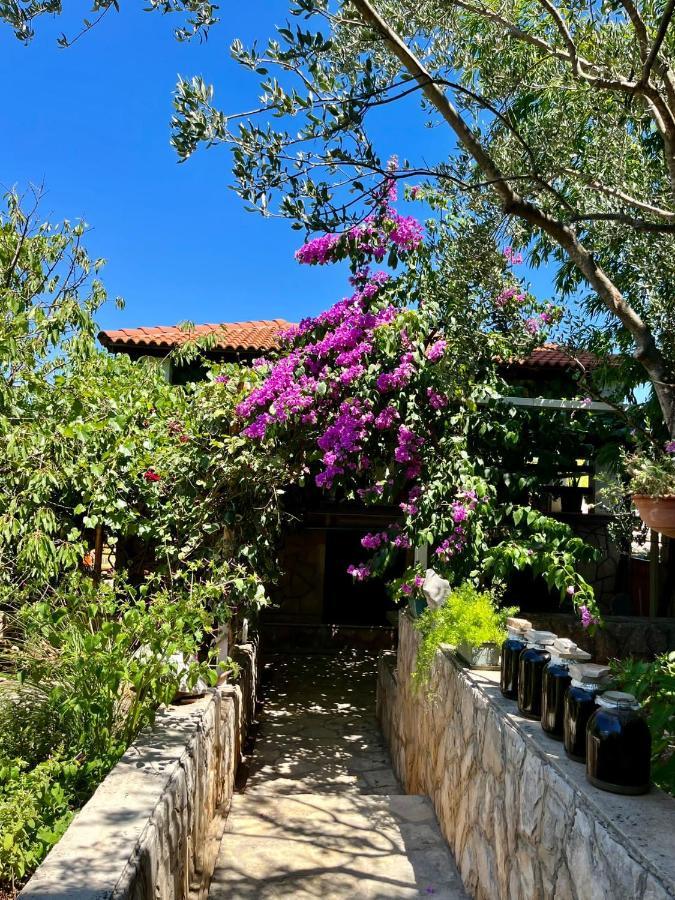 Apartman Gorana With Swimming Pool Jelsa  Exterior photo